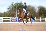 Cls 14 FEI Intermediate I Gold portfolio