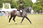 SBM_10958