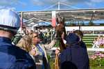 240824-Race 7-Sir Busker-1817