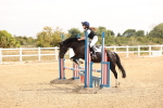 SBM_001043