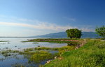 Lake Kerkini, Central Macedonia, Greece