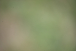 SBM_10214