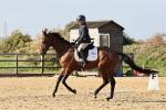 SBM_002446
