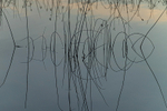 Intimate Landscapes