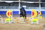 SBM_001440