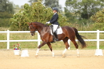 SBM_018444