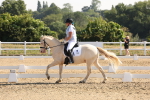 SBM_002826