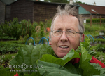 Rhubarb Man