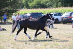 WJ6_4878