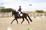 SBM_005634