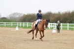SBM_006690