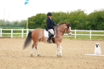 SBM_006431