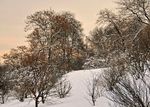 Snow & Alpenglow