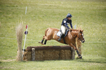 BVHT 140517  NXC -350
