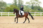 SBM_006054