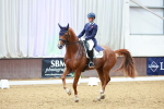 SBM_006066