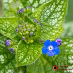 190327-untitled-1L4A0519-Edit