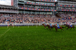 220826-Race 4-Daiquiri Bay-0465