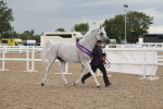 SBM_06938