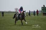 Duke of Beauforts Hunt Point-to-Point Didmarton 04/03/23 portfolio