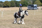 WJ6_9157