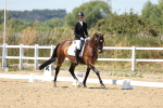 SBM_002593