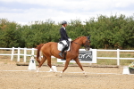 SBM_006513
