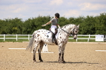 SBM_002041
