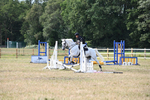 WJ6_8887
