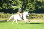 SBM_37367