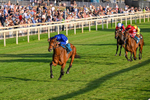 240726-Race 5-Diamond Rain-0542