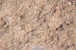 260426-091141-17610