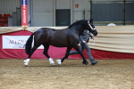 SBM_23051