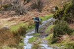 Buttermere-273