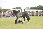 SBM_15980