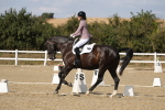 SBM_022700