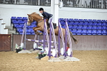 SBM_002604