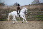 SBM_006083
