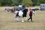 WJ6_5353