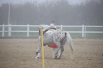 SBM_000972
