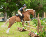 Dunblane show-356