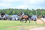 D-469-Samantha.Lissington-LORD.SEEKONIG portfolio