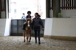 AJG_0169