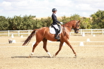 SBM_009363