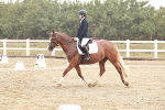 SBM_001136