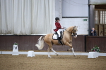 SBM_005337
