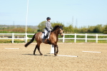 SBM_000104