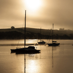 Recent photo's portfolio