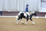SBM_000222