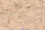 240706A-124141-01957